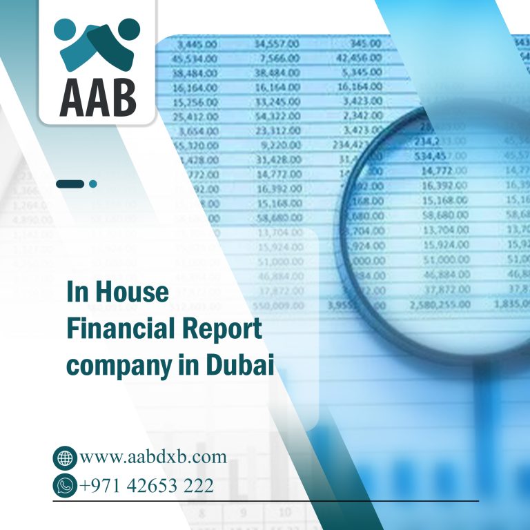 In House Financial Report company in Dubai